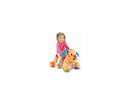 CAMINADORA - PERRITO FISHER PRICE